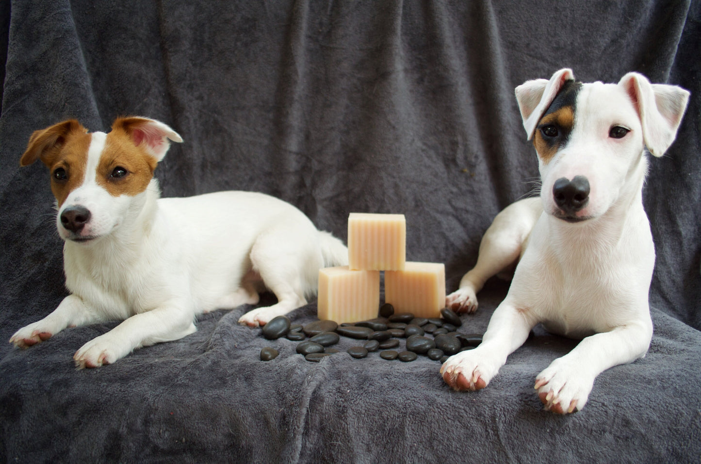All Natural Lemongrass Dog Shampoo bar