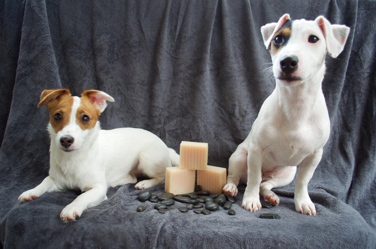 All Natural Lemongrass Dog Shampoo bar