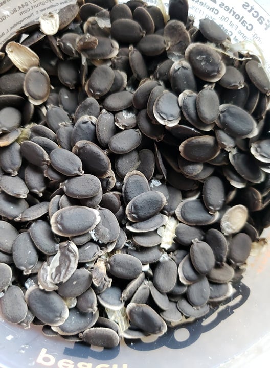 Luffa seeds