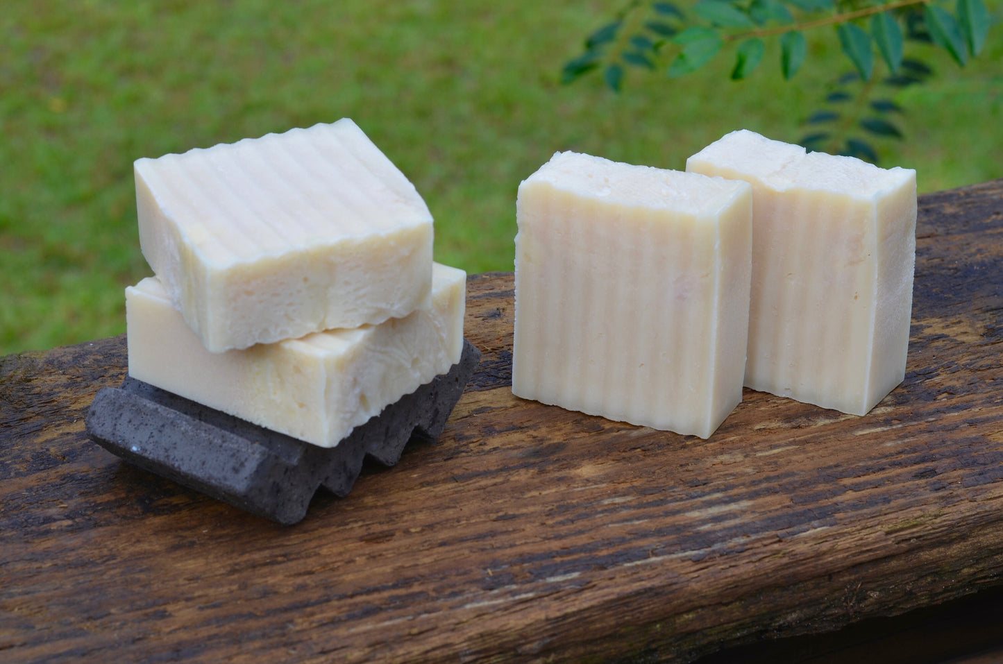 Birchwood Oud bastille Vegan Soap