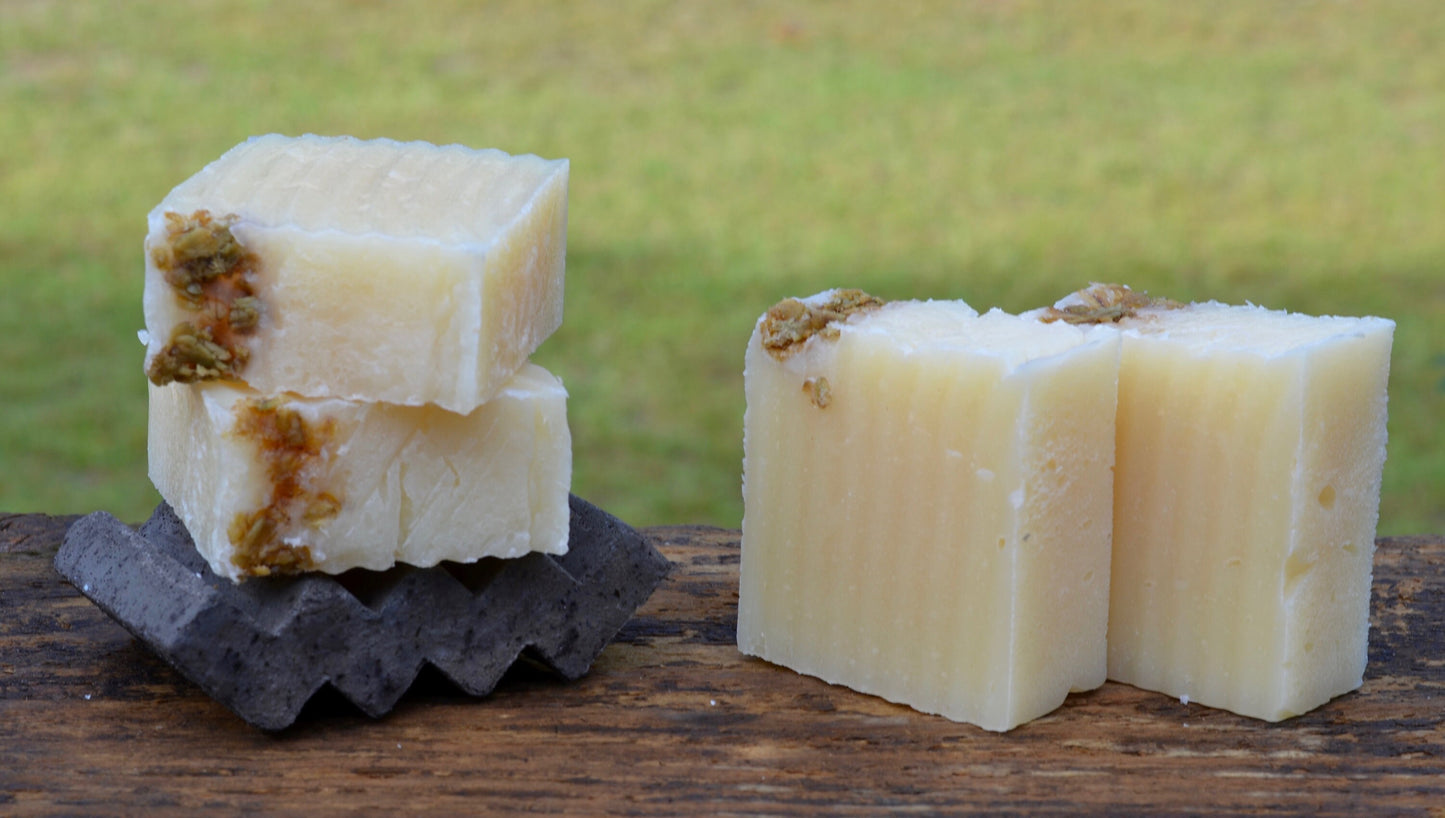 Oatmeal Lemongrass Dog Shampoo Bar