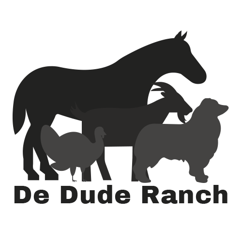 Dude Ranch Soaps Gift Card