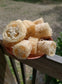 Luffa seeds