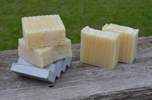 Lemongrass Coconut Dog Shampoo Bar
