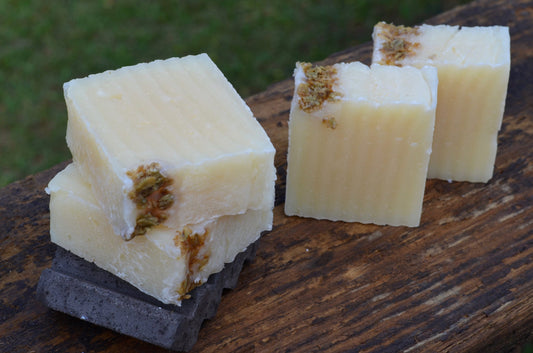 Oatmeal Lemongrass Dog Shampoo Bar